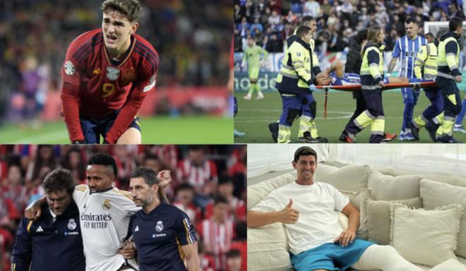 成功引进能 成功引进能